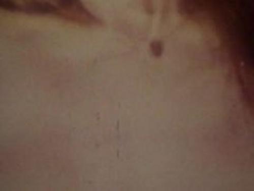 What's the name of this pornstar?