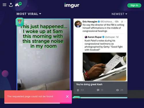 Marry Lynn & Kimberly Costa 