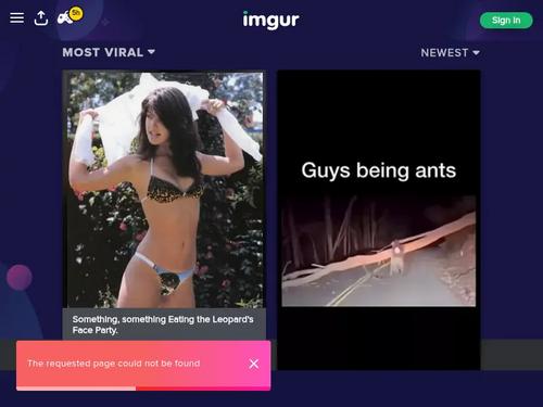 Stephanie https://ru.xhamster.com/photos/gallery/stephanie-big-tit-whore-5774128