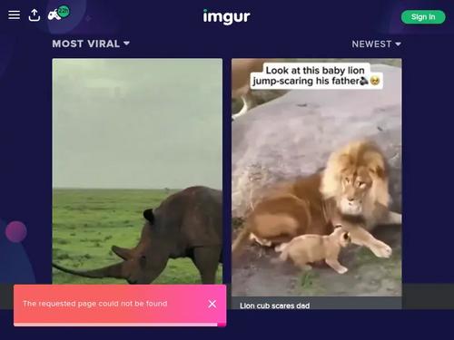 Vienna Black and Nurse Emma Johnson