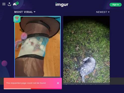 Sophie Luuna AKA Dai @ YoungBusty [https://yespornpics.com/sex/youngbusty-dai-fullhd-teen-length]