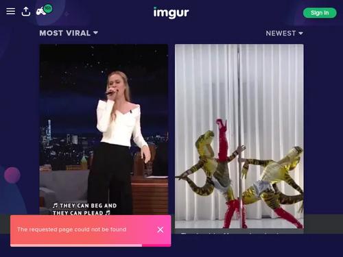 Whats the name of this model?