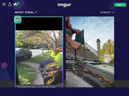 What's the name of this pornstar?