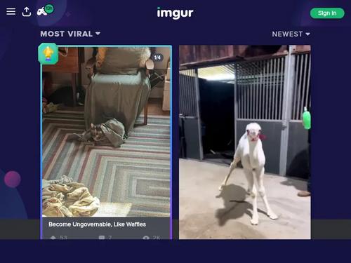 Anyone know who the owner of these perfect tits is?