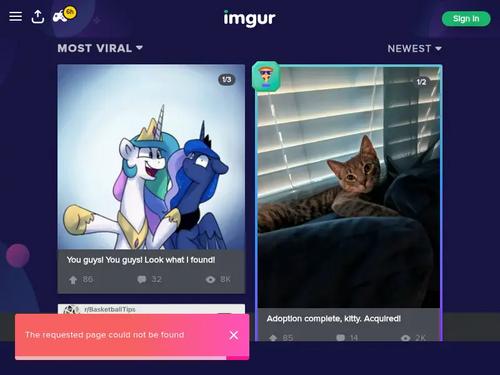 Suzie Sun, Krystal Swift 