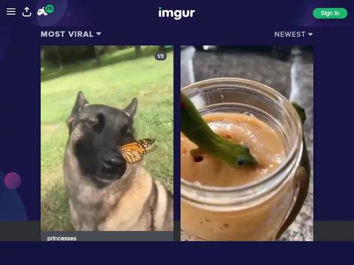 What's the name of this pornstar?