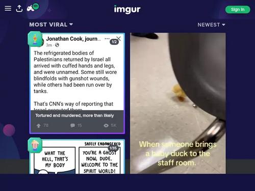 Anyone knows who this blonde chick is?