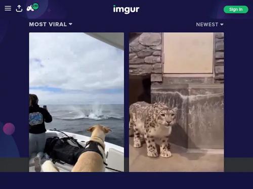 culona ale mana germanica aka big booty wife charlotte http://www.imagefap.com/photo/1122077777/?pgid=#15