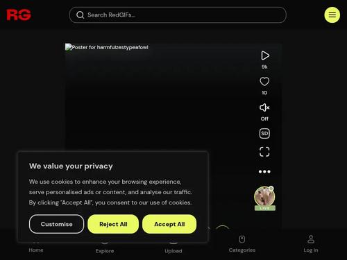 Name as many of these airtight beauties please I think I saw Candice Dare?