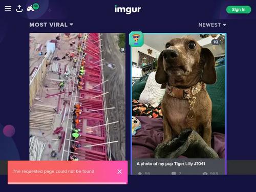 Bolivia Samsonite, Silvio Evangelista