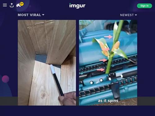 What's the name of this pornstar?