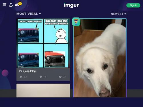 Tan, fit, brunette with queen of spades tattoo on wrist?