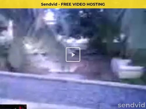 What's the name of this pornstar?