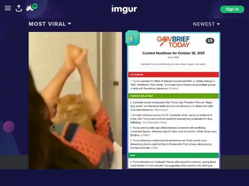 Not 100% certain but I'd say that's 