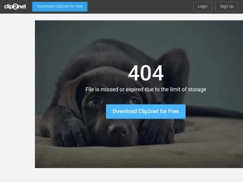 whats the name of this camgirls duet?