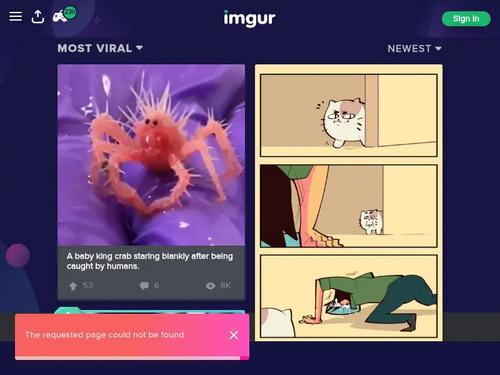 	Eva Lovia and  Aidra Fox 