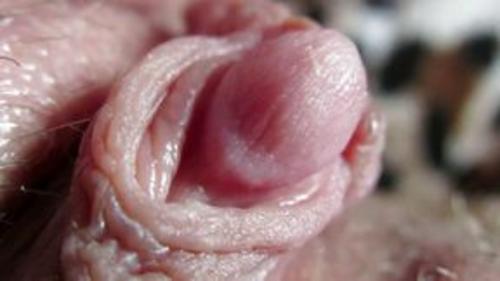 What's the name of this pornstar?