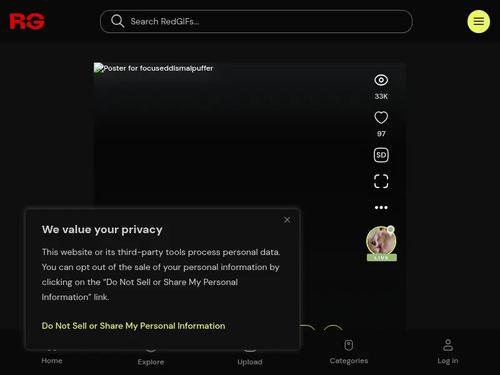 PLEASE I CANT FIND HER ANYWHERE