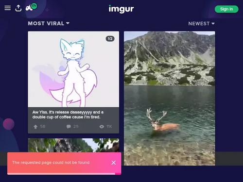 Could only find her by searching chicana knows that stiff boner in hand is the