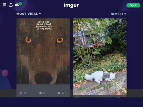 name or full video pls