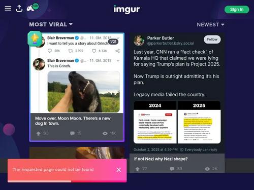 not Housewife kelly, who is she?