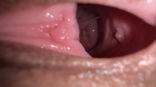 What's the name of this pornstar?