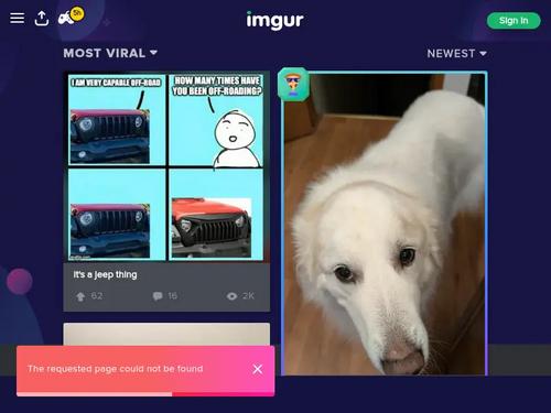 Who are either of these cam girls? 