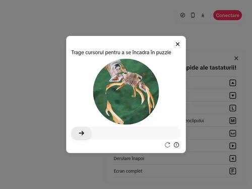 What's the name of this pornstar?