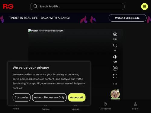 Anita Dark in Beautiful Girls of Europe 2 https://www.iafd.com/person.rme/perfid=anitadark/gender=f/anita-dark.htm https://www.iafd.com/title.rme/title=beautiful+girls+of+europe+2/year=1995/beautiful-girls-of-europe-2.htm