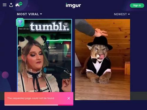 Riley Nixon, Nina Elle