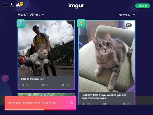 Riley Reyes aka Riley Reynolds. 