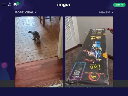 What's the name of this pornstar?