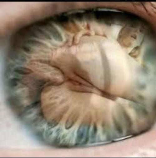 What's the name of this pornstar?