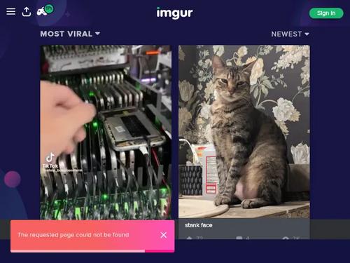 Whats this girls name?