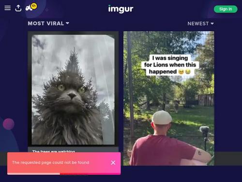 httpswwwtiktokcomnekoglaivideo7120613711907147014?iscopyurl1isfromwebappv1