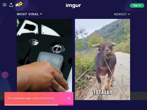 Looks a lot like u/Adorable18Fit
Eviehasthefunny on onlyfans