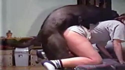 What's the name of this pornstar?