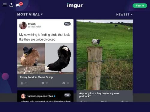 Other pics of the unknown: https://pic.nudedworld.com/202110/13/11/sik3vkpwhwc.jpg https://avatars.mds.yandex.net/i?id=09a780026fbed4c98d7c14420c950f0490dcce17-7758455-images-thumbs&n=13. Pimeyes thinks that she is Cory Lane, this time with the rarer dark hair and not with the usual blond. I think that the face could match. But I am still somewhat sceptical because I could not find this particular set with Cory. And the resolution is too low to compare moles or the ring the unknown wears with pictures of Cory. https://www.indexxx.com/m/cory-lane http://vintage-erotica-forum.com/t25928-cory-lane.html 