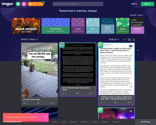 Who this porn star is