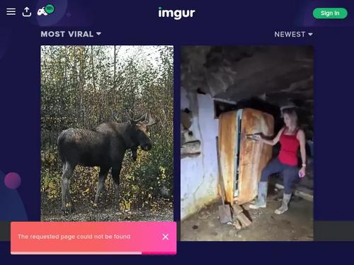 Violet summers 
https://www.instagram.com/violets.tv/?hl=en