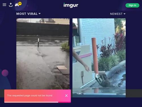 Olivia  -  http://www.newlook.fr/sexy/olivia-est-bien-sauvage