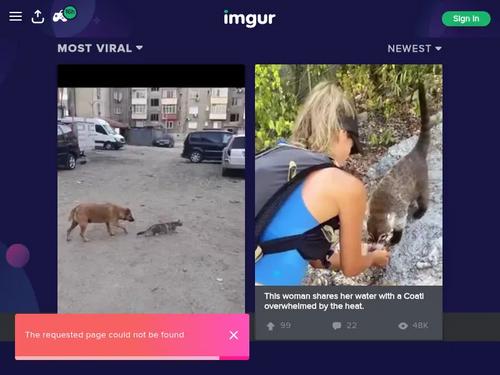 I’ve seen half a dozen names attached to this woman, but the only one I can ever remember off the top of my head is “azeeenbarbie”.