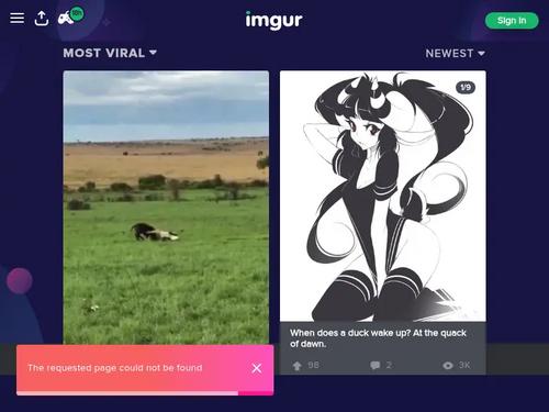 Whats the name of this model?