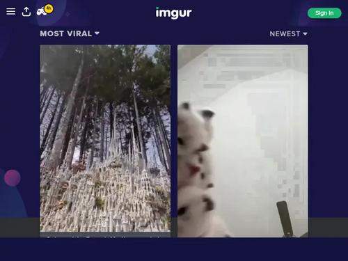 Stacie Jaxxx - Relax He's My Stepdad 5 - https://www.adultdvdempire.com/1667610/relax-hes-my-stepdad-5-porn-movies.html