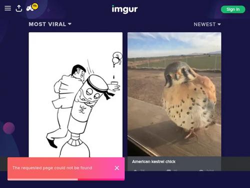 Anyone knows her name ?