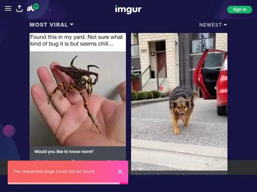 What's the name of this pornstar?