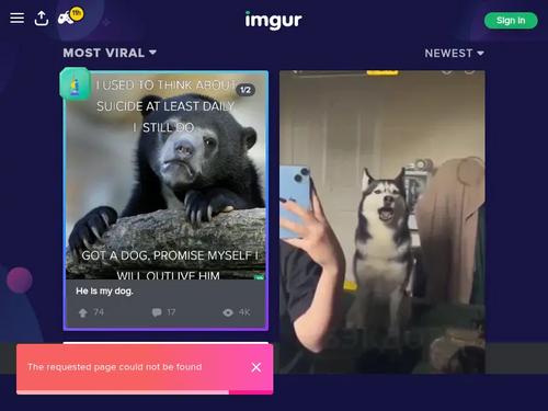 What's the name of this pornstar?