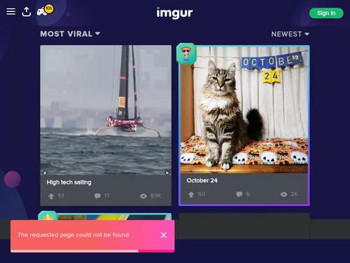 maybe her name is Jaymee Green, but cant confirm it or find any, so not sure

https://www.reddit.com/r/ebonypornstars/comments/wtiuxd/jaymee_green/