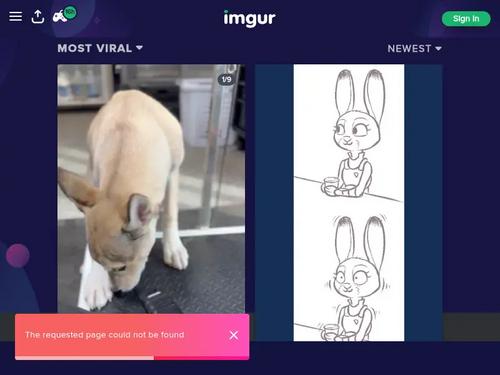 Sensi Pearl https://www.indexxx.com/m/sensi-pearl