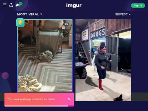 Abella Danger, Riley Reyes - WHOOPS I SLIPPED! 